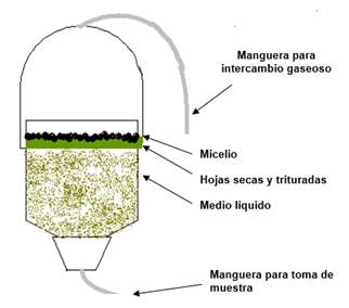 Esquema del frasco digestor utilizado
en el experimento.

 