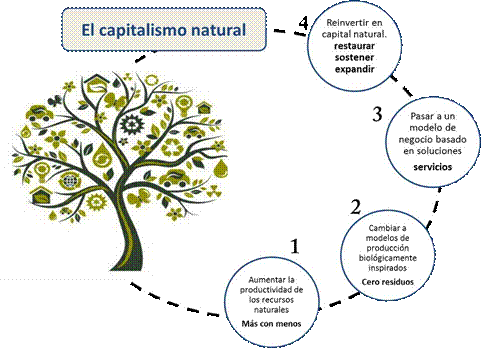 Ciclo del capitalismo natural. Adaptado
de (Ecosistemas, 2012) 



