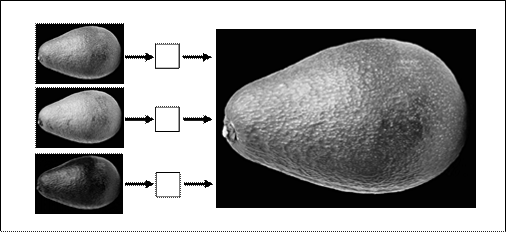 Imagen segmentada de una palta en el
modelo RGB